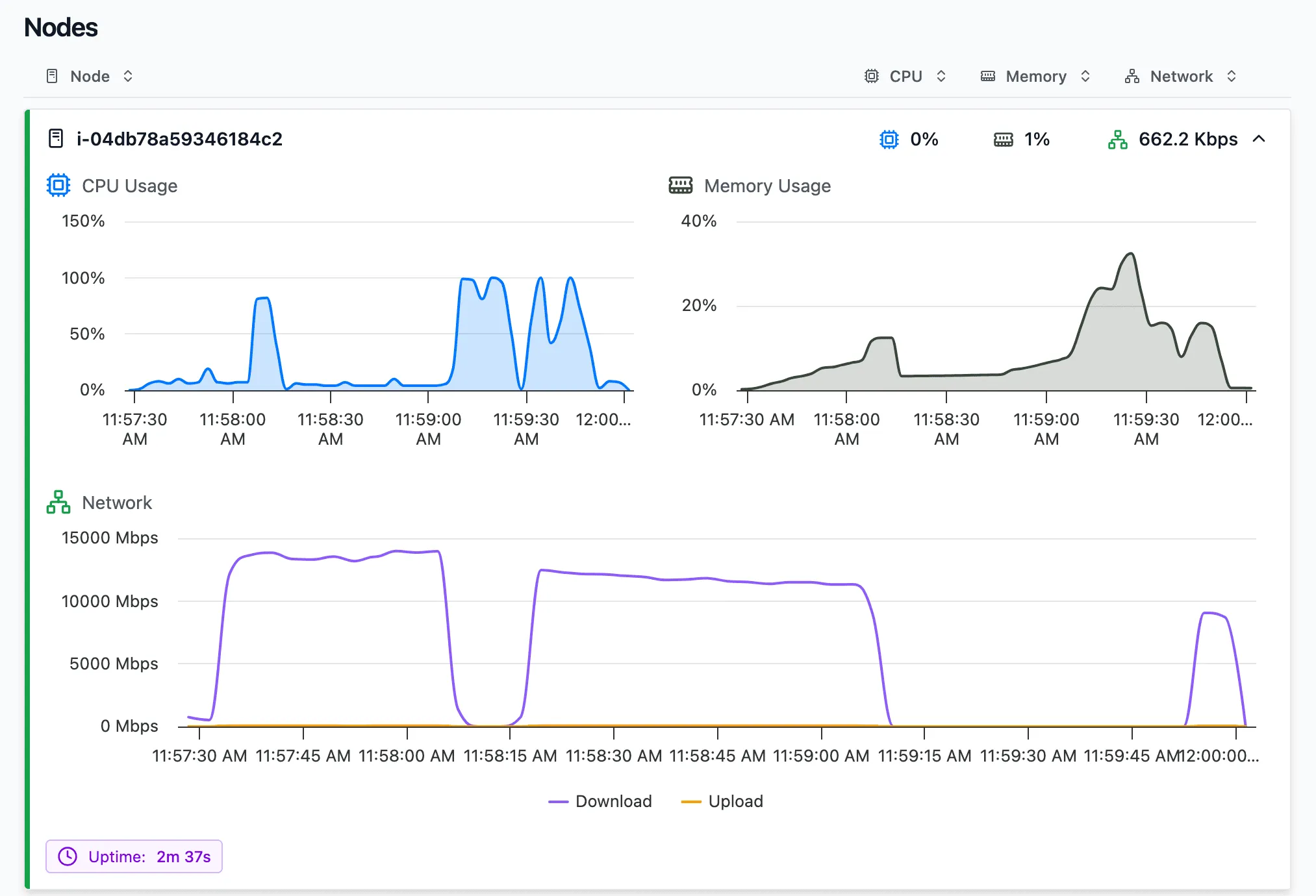 Resources overview of the single node run